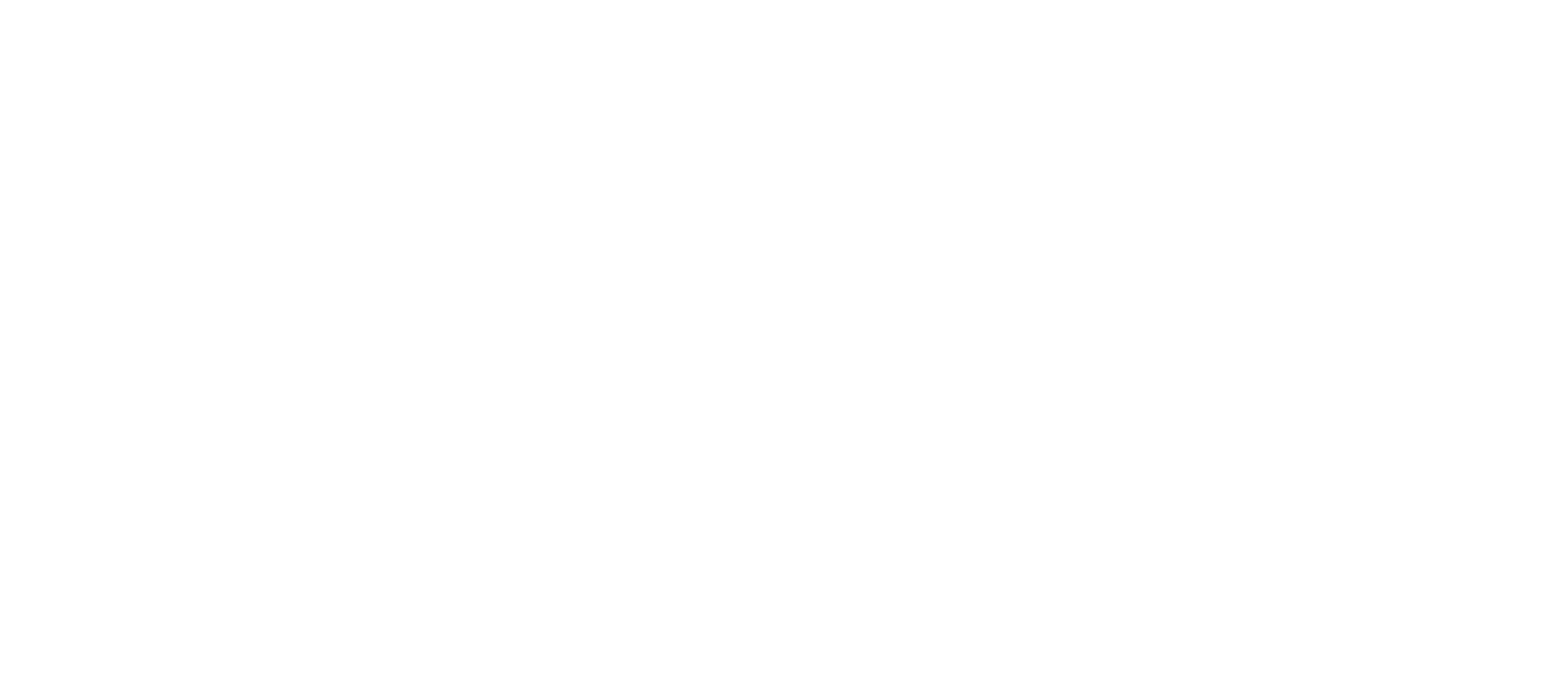 Summer Watch Festa